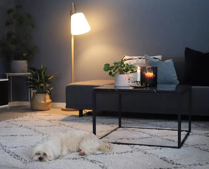 鸿图装饰 创意家居 喜茶风