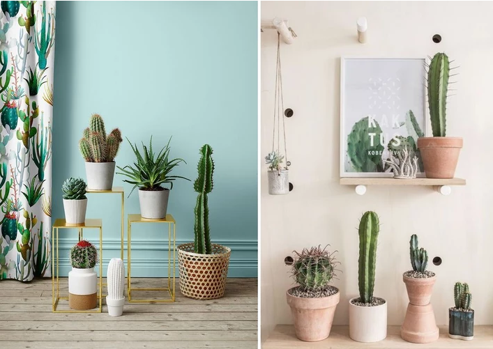 2019年室内设计最流行的家居元素