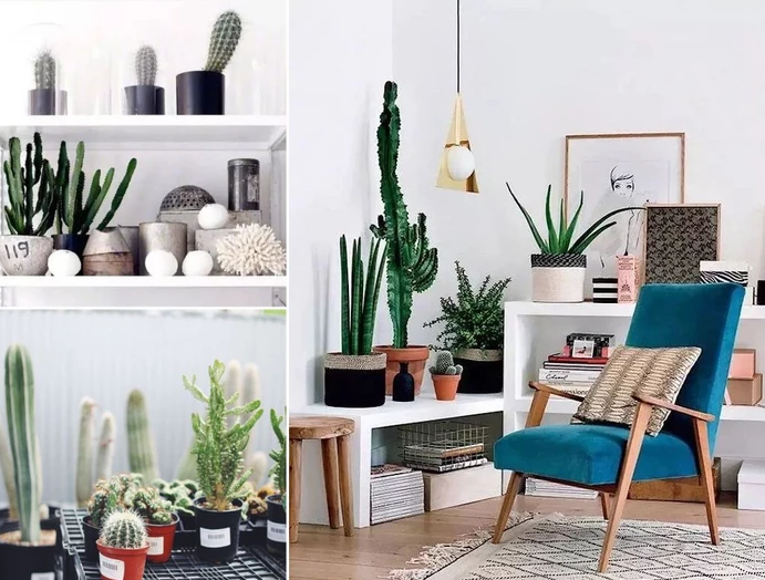 2019年室内设计最流行的家居元素