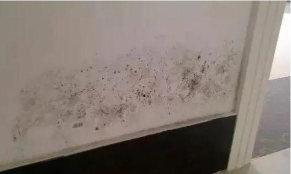 360截图20190414163517857