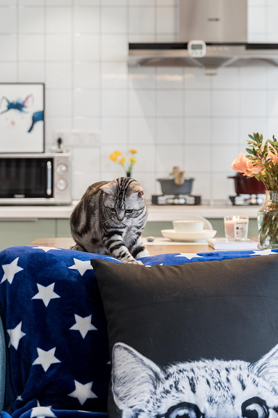 烟台装修案例 鸿图装饰