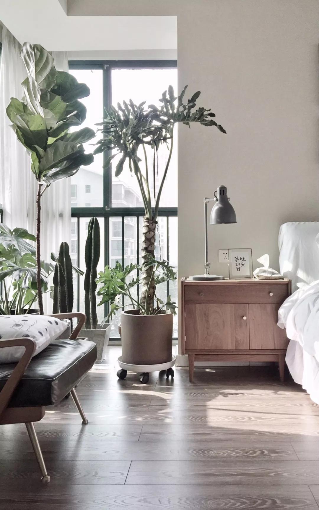 森系风格：我的家 是一座秘密花园！